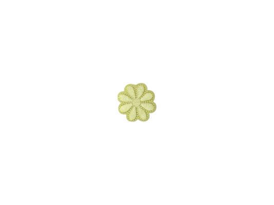 Daisies Flower