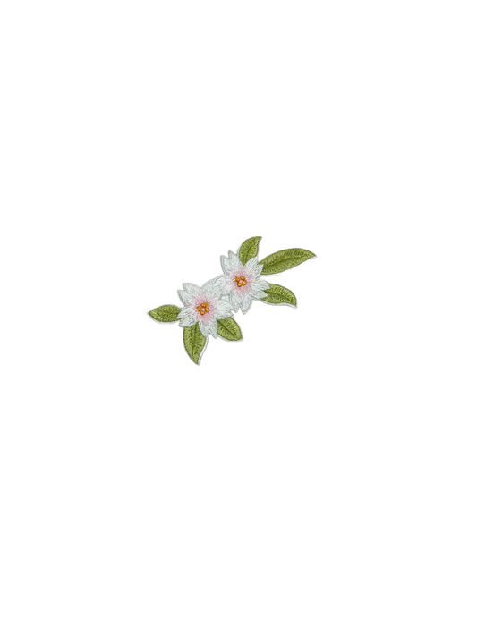 Chrysanthemum Flower